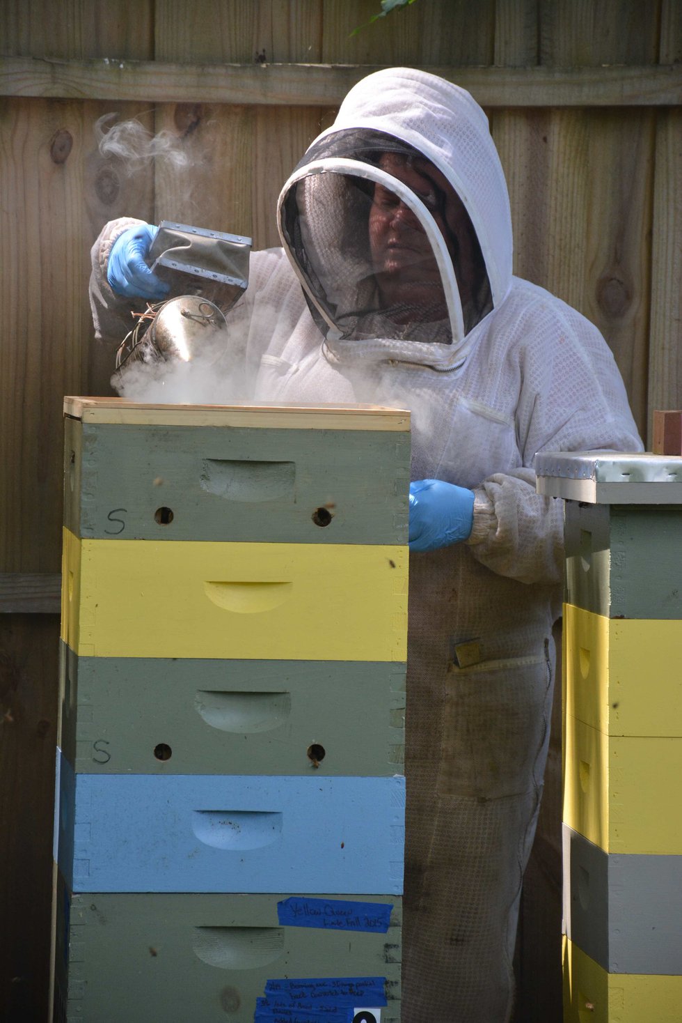 CSUN FEAT Beekeeping3c.jpg