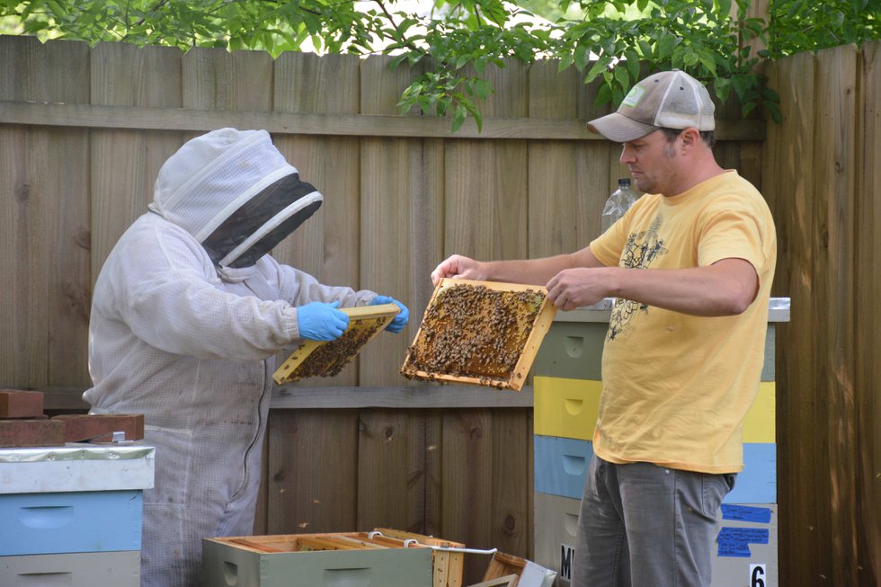 CSUN FEAT Beekeeping2.jpg