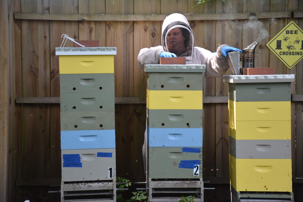 CSUN FEAT Beekeeping3b.jpg