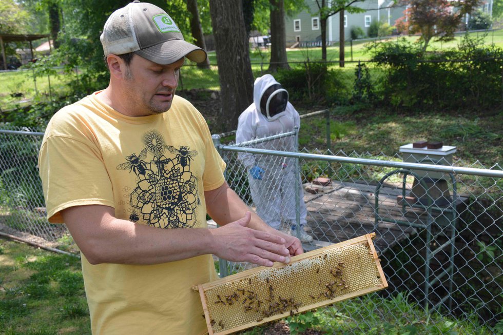 CSUN FEAT Beekeeping4.jpg